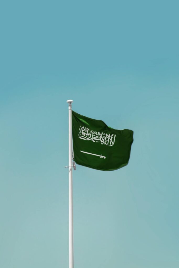 Do you know the history of the Saudi royal family ??